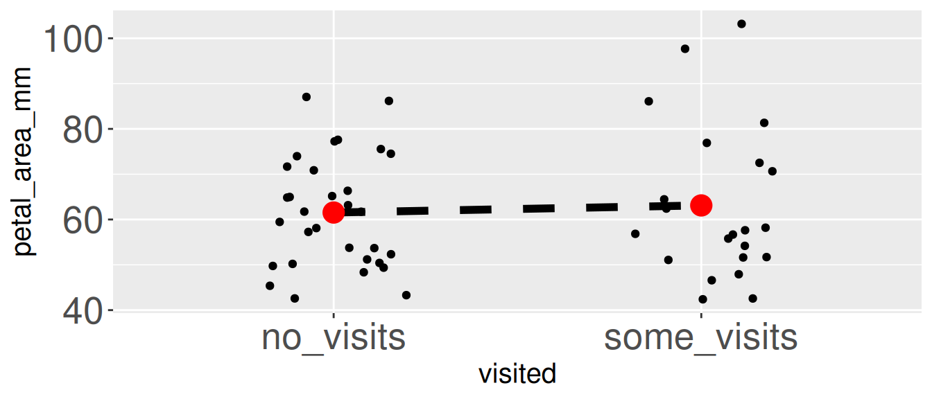 Scatter plot of petal area (mm²) by visitation category (no_visits vs. some_visits) for pink-flowered plants. Black dots show individual plant values. Red dots show group means. The mean petal area for plants receiving visits is slightly larger than for plants receiving no visits. A dashed line connects the two group means, highlighting the small difference.