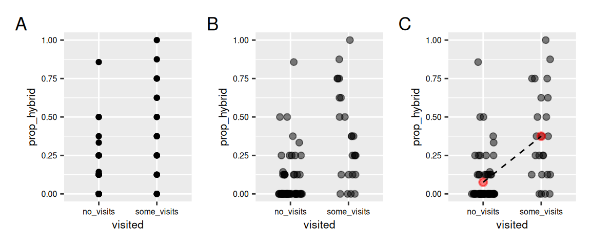 Panel A) A scatterplot of hybrid seed proportion by visitation category with overlapping points, making individual values difficult to distinguish. Panel B) The same scatterplot with horizontal jitter added, spreading points within each category to reveal the distribution of individual observations. Panel C) Jittered scatterplot with red mean markers for each visitation group and a dashed line connecting the means, illustrating the difference in average hybrid seed proportion between groups.
