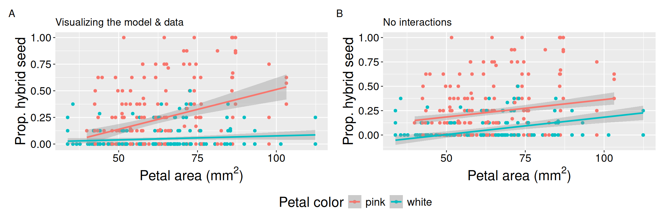 Two side-by-side plots compare fitted relationships between petal area and proportion of hybrid seed for pink- and white-petaled RILs. In panel A, the interaction model shows a steep positive slope for pink-petaled RILs and a nearly flat slope for white-petaled RILs, so the distance between the lines increases with petal area. In panel B, the additive model shows parallel lines with the same positive slope, so the difference between petal colors remains constant across petal area.