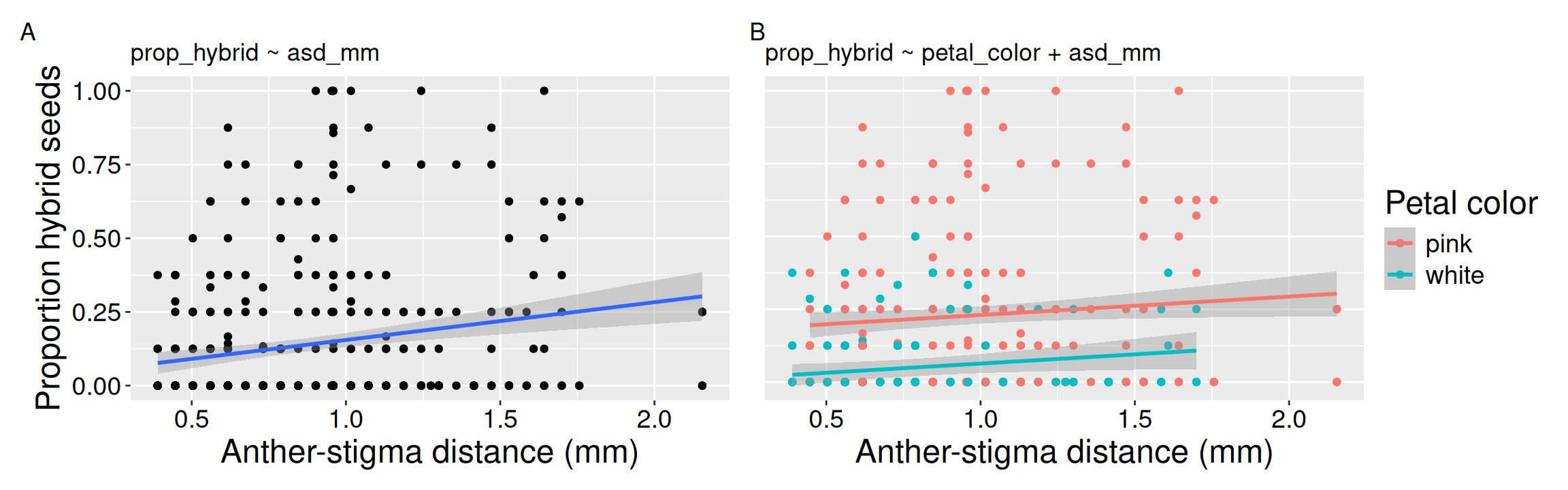 Two-panel figure. Panel A is a scatterplot of proportion hybrid seeds against anther-stigma distance with one fitted linear trend. Panel B shows the same response and x-axis, but points are colored by petal color and the fitted additive model shows parallel lines for pink- and white-flowered Clarkia RILs.