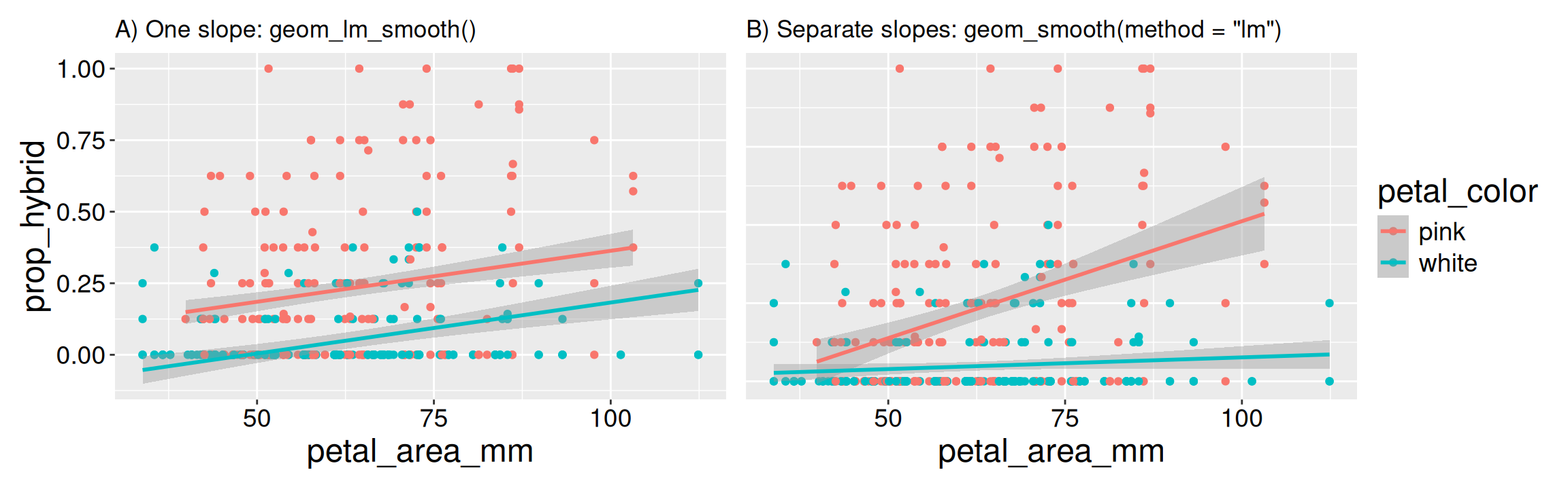 Two-panel figure comparing fitted lines for proportion hybrid seeds against petal area, colored by petal color. Panel A shows parallel fitted lines from an additive model, indicating a shared petal-area slope with different expected values for pink and white flowers. Panel B shows separate linear smooths for pink and white flowers, with noticeably different slopes.