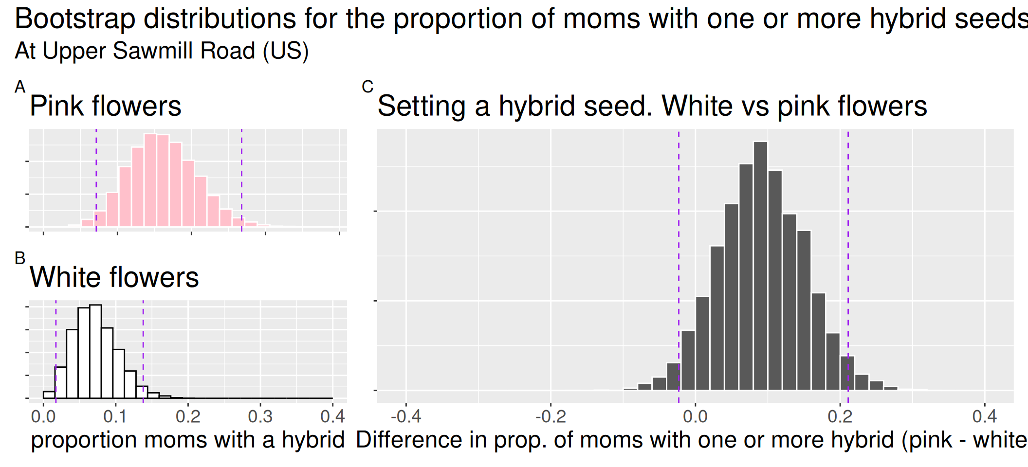 Three histograms showing bootstrap results for plant reproduction. Panel A shows the distribution for the proportion of pink-flowered plants setting a hybrid seed, centered around 0.15. Panel B shows the same for white-flowered plants, centered around 0.08. Panel C is a larger histogram showing the distribution of the difference in proportions (pink minus white). Vertical dashed lines on this third plot show a 95% confidence interval that only slightly overlaps with zero.