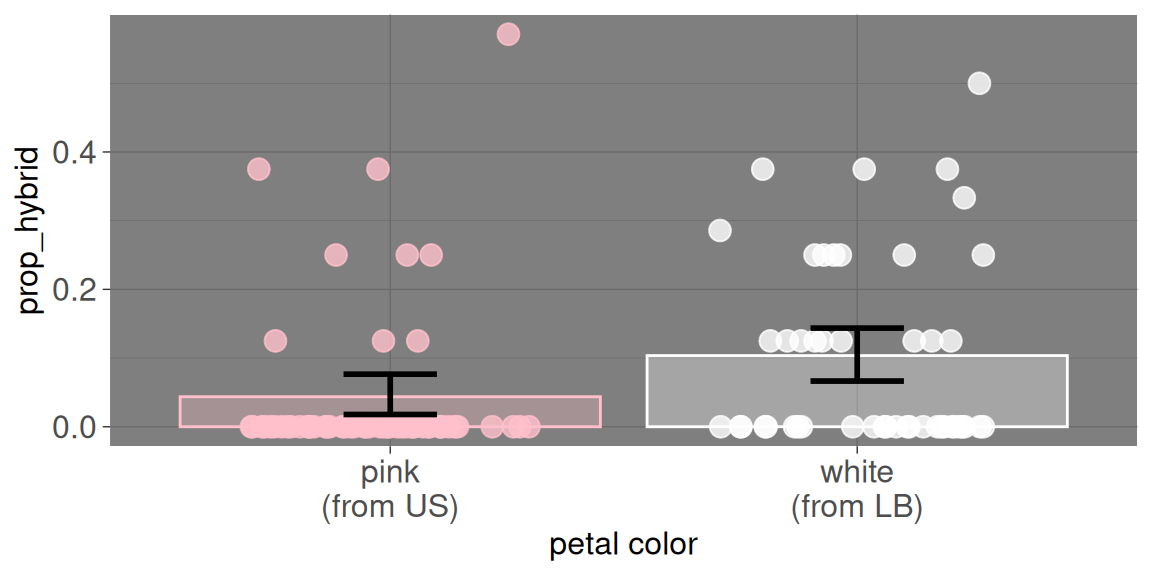 A boxplot comparing the "prop_hybrid" for two categories on the x-axis: "pink" and "white." For the "pink" category, most data points are clustered near zero. For the "white" category, the data points are more spread out, with many points between 0.2 and 0.5. The mean and confidence interval for the "white" category is visibly higher than for the "pink" category.