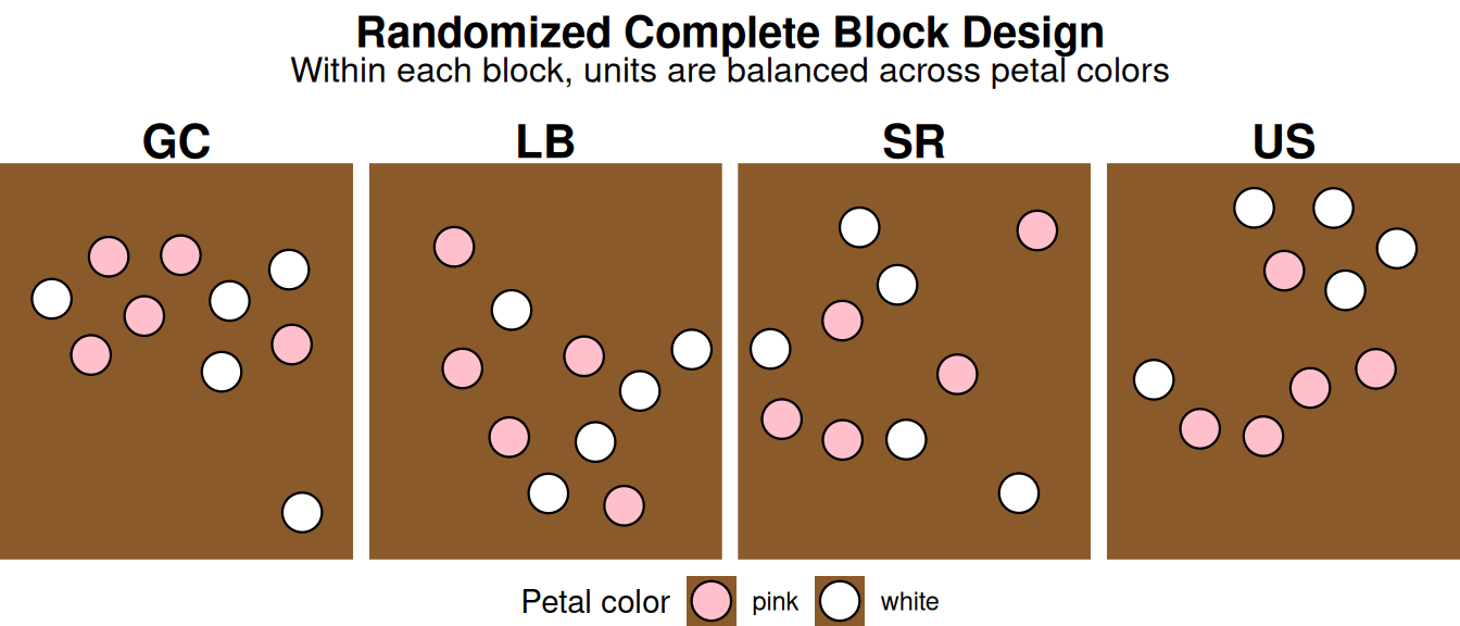 One panel per field site (GC, LB, SR, US), each showing a brown soil-colored background with 10 randomly scattered flower-like dots -- 5 pink and 5 white -- spread apart so none overlap, resembling flowers planted in a field. The mix of pink and white is balanced within every site.