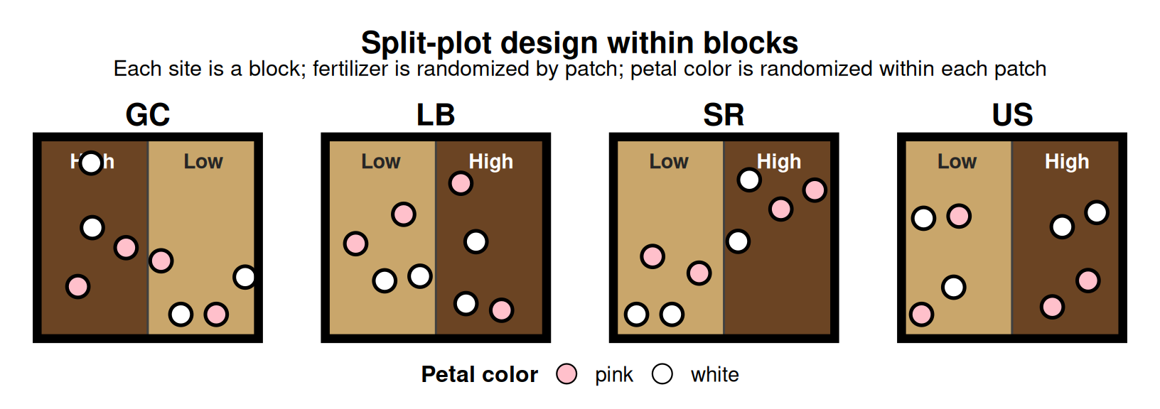 One panel per field site: GC, LB, SR, US. Each panel is a square outlined with a thick black border and clearly separated from the other panels by empty space, representing four independent blocks. Inside each panel, a thin vertical line divides the square into two touching patches with no gap between them -- one dark brown patch labeled High and one light tan patch labeled Low, in random left-right order per site. Within every patch, four flower-like dots are scattered -- two pink and two white -- showing petal color is randomized independently within each patch.