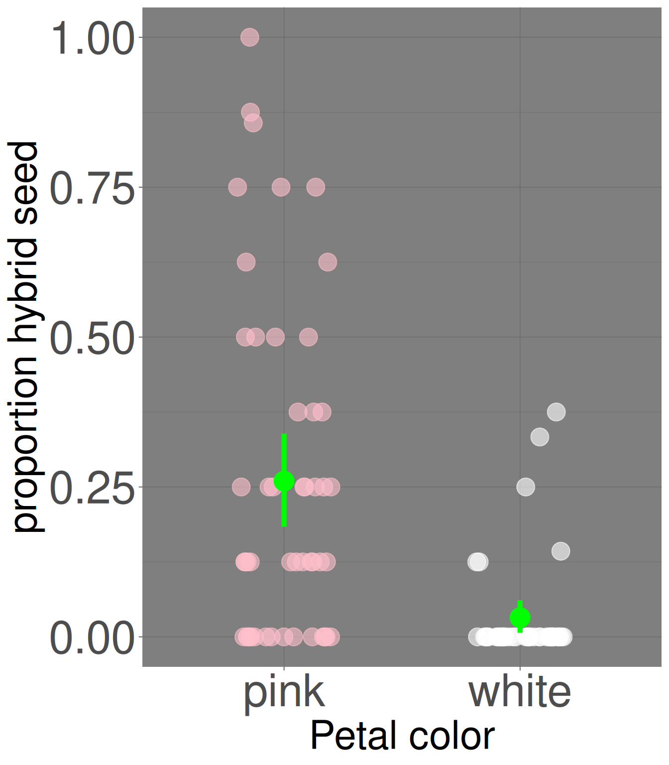 A plot on a dark background comparing 'proportion hybrid seed' for two groups on the x-axis: 'pink' and 'white'. The pink group's data points are clustered higher on the y-axis than the white group's, which are clustered near zero.The mean and bootstrap 95% confidence interval error bar are shown for pink and white flowers.