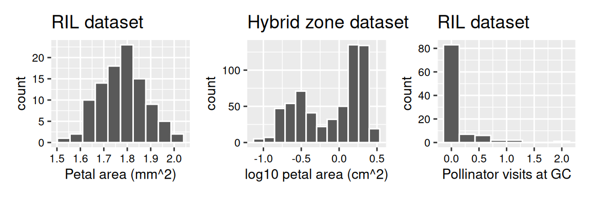 A set of three histograms comparing trait distributions in Clarkia datasets. The left panel, labeled 'RIL dataset,' shows a histogram of petal area (log10 mm^2), with a unimodal distribution centered around 1.8 log10 mm^2. The middle panel, labeled 'Hybrid zone dataset,' displays a histogram of log10-transformed petal area (in log10 cm^2), appearing bimodal with peaks near -0.5 and 0.5. The right panel, also from the RIL dataset, shows pollinator visits at GC, with a strongly right-skewed distribution where most values are close to zero.