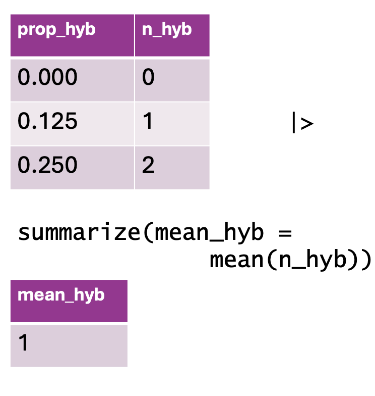 A visual representation of summarizing data using `summarize()` in `dplyr`. The top table contains two columns: `prop_hyb` and `n_hyb`, displaying hybrid proportions and counts. Below, an R code snippet applies `summarize(mean_hyb = mean(n_hyb))`, computing the average value of `n_hyb`. The bottom table shows the resulting dataset, reduced to a single row with a new column `mean_hyb`, which holds the computed mean value of 1.