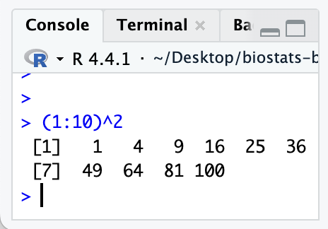 A vector of each number one through ten, squared. The first line starts with [1], indicating that is the first element in the vector. The second line starts with [7], indicating that we are starting the second line of the console with the seventh element in our vector.