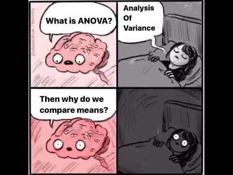 A four-panel comic shows a brain talking to a person in bed at night. In panel one, the brain asks, "What is ANOVA?" In panel two, the person replies, "Analysis of Variance." In panel three, the brain nervously asks, "Then why do we compare means?" In panel four, the person lies awake in the dark, wide-eyed, clearly disturbed by the question.