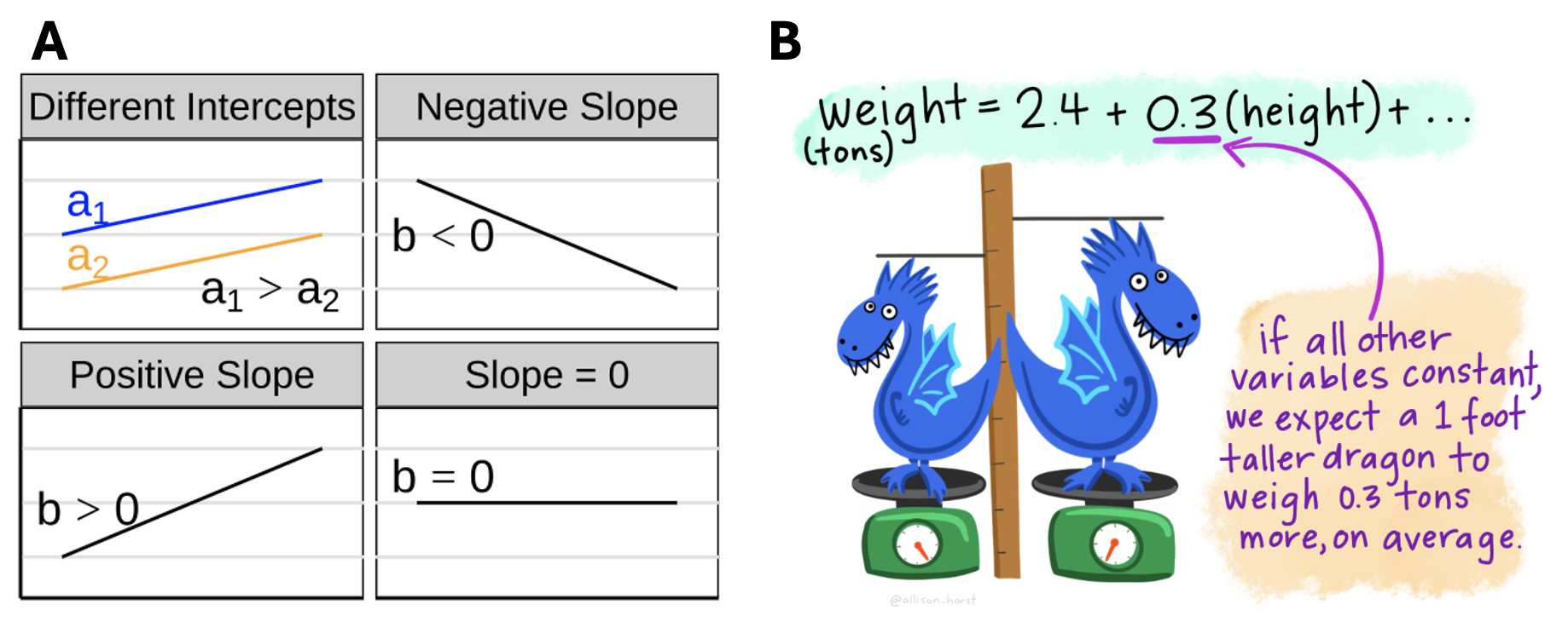 **A** Visualizing different slopes in a regression. **B** Two blue dragons stand on scales next to a vertical yardstick showing one slightly taller than the other. Regression estimates are shown at the top as an equation: weight (tons) = 2.4 + 0.3 x height, with explanatory text reading If all other variables are constant, we expect a 1 foot taller dragon to weigh 0.3 tons more, on average.