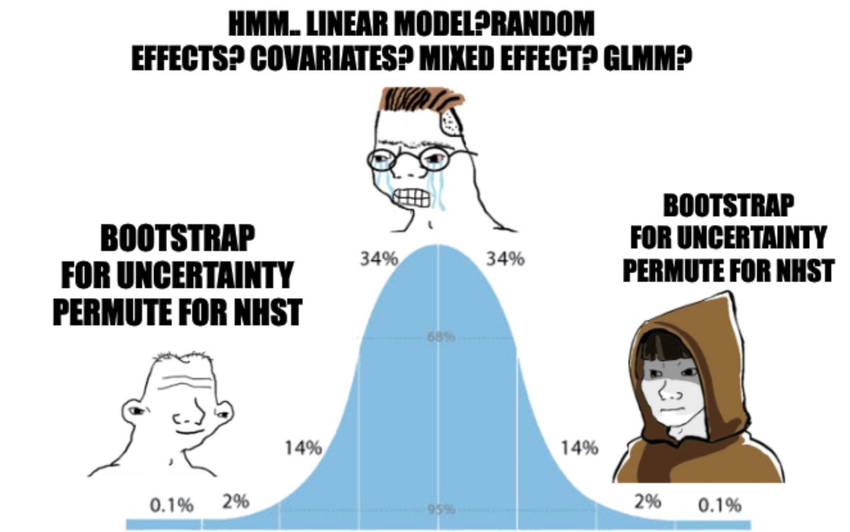 A meme with three cartoon figures superimposed on a bell curve. The central figure, crying with glasses, says: "Hmm… linear model? random effects? covariates? mixed effect? GLMM?" On the left, a simple character smiles with the text: "Bootstrap for uncertainty, permute for NHST." On the right, a hooded character repeats the same phrase. The normal curve behind them shows percentages (68%, 95%, 99.7%) corresponding to standard deviations.