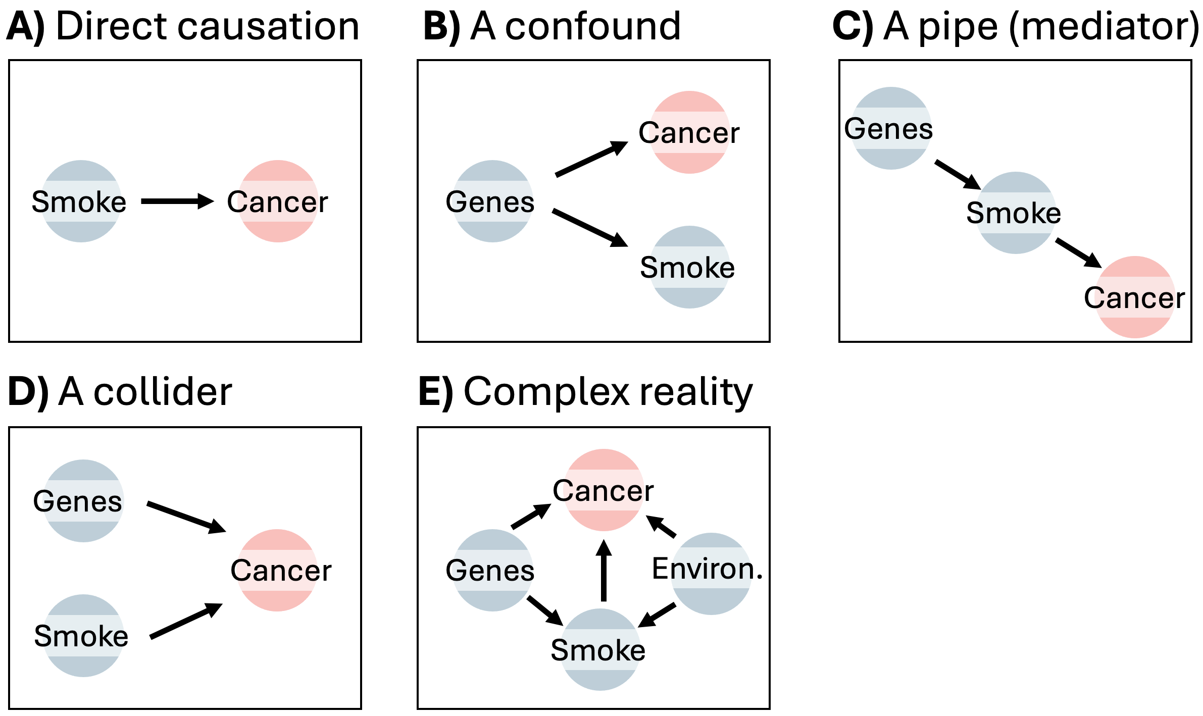 DAGs showing potential causal relationships among Genes, Smoke, Environment, and Cancer, with Cancer shown in red. Panel A shows Smoke → Cancer. Panel B shows Genes → Smoke and Genes → Cancer (a confounder). Panel C shows Genes → Smoke → Cancer (a mediator). Panel D shows Genes → Cancer and Smoke → Cancer (a collider). Panel E shows a more complex network: Genes → Smoke, Environment → Smoke, Genes → Cancer, Environment → Cancer, and Smoke → Cancer.