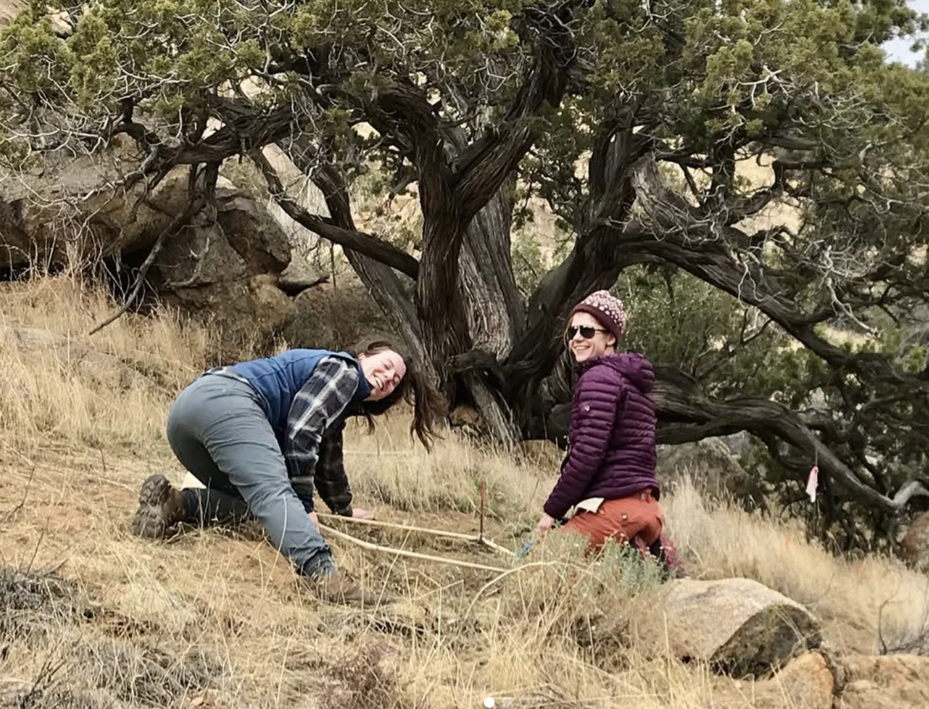 Two researchers on a sunny, grassy hillside. One is kneeling and placing her hands inside a square quadrat frame that is laid on the ground over a patch of low-lying plants.
