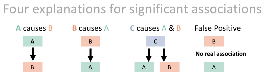 A diagram showing four possible explanations for an association between variables A and B: (1) A causes B, (2) B causes A, (3) a third variable C causes both A and B, making them correlated without either causing the other, and (4) the association is a chance false positive with no underlying causal link.