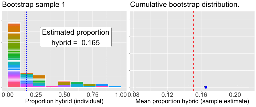 An animated two-panel plot that demonstrates the bootstrap process. The left panel rapidly cycles through histograms of different bootstrap samples, with a blue dashed line updating in each frame to show that sample's mean. Simultaneously, the right panel shows a histogram being built. In each frame, the mean from the left panel is added as a blue dot to the right panel's histogram. As the animation progresses, the histogram on the right grows from a single point into a full, bell-shaped distribution, illustrating how the bootstrap distribution is formed from many resamples.