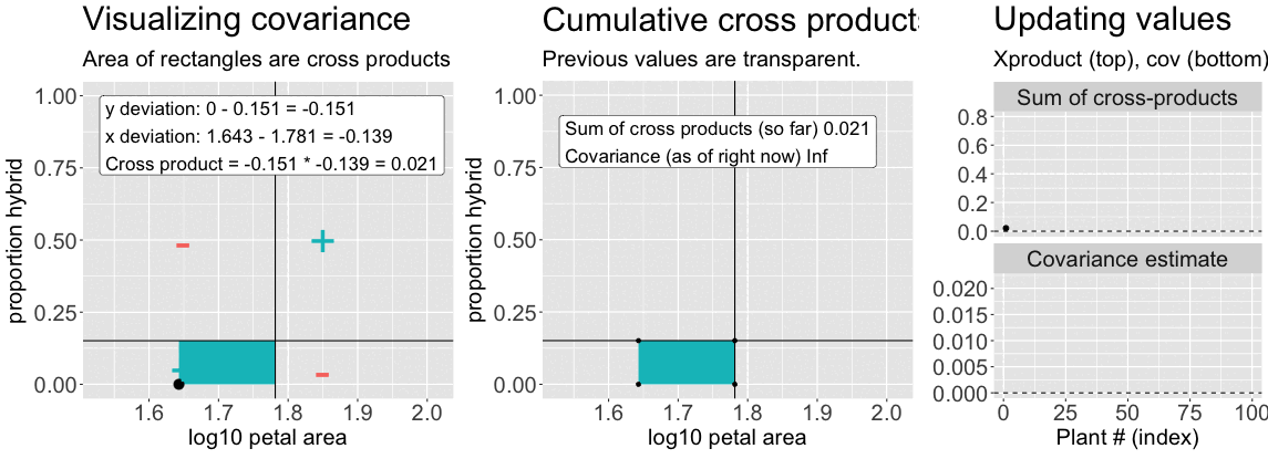 Animated figure illustrating the computation of covariance between log-transformed petal area and proportion hybrid. The left panel highlights how each observation contributes a cross product represented as a rectangle, based on deviation from the mean. The center panel accumulates cross products, and the right panel tracks the cumulative sum and the evolving covariance estimate across all observations.