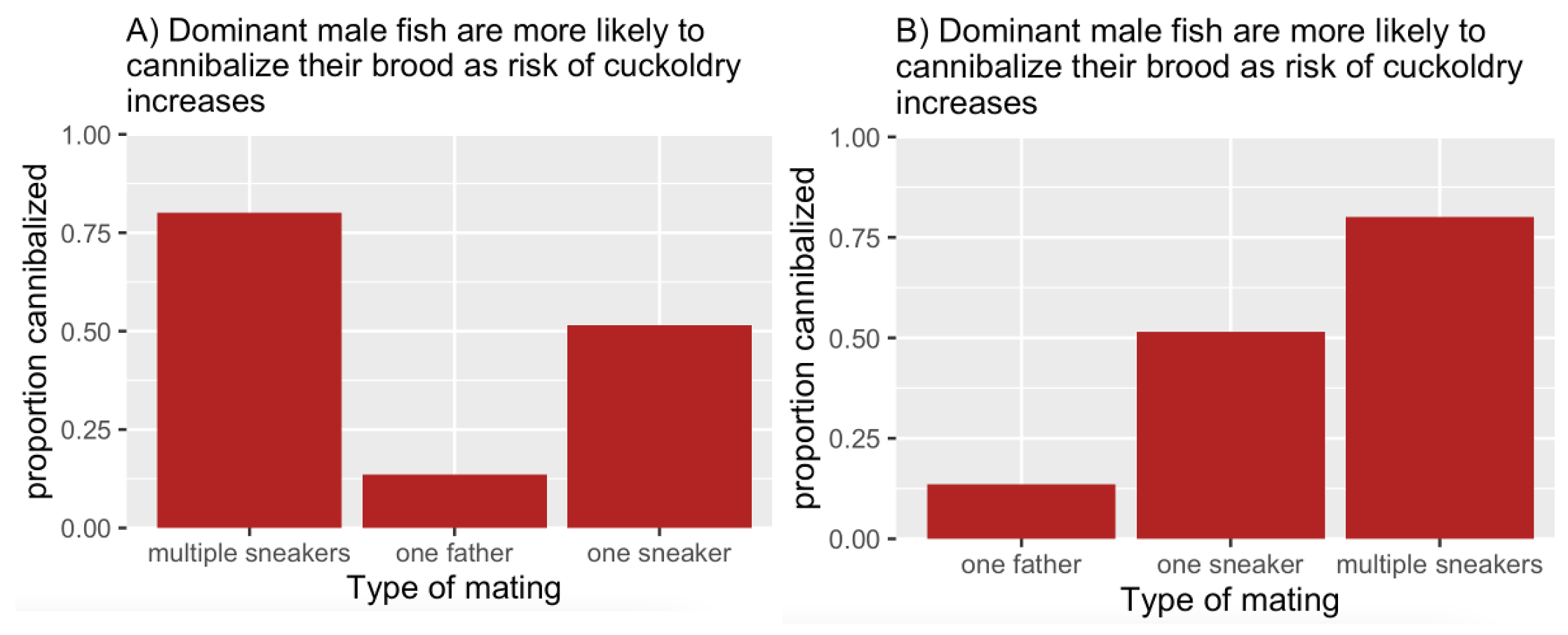 Two bar plots compare the proportion of offspring cannibalized by dominant male fish across three mating scenarios: "one father," "one sneaker," and "multiple sneakers." *Panel A* displays the bars in the order: multiple sneakers, one father, one sneaker. *Panel B* displays the same data but reorders the x-axis categories to: one father, one sneaker, multiple sneakers — aligning the categories with increasing risk of cuckoldry and making the pattern easier to interpret. In both panels, the proportion cannibalized increases with more sneaker males.